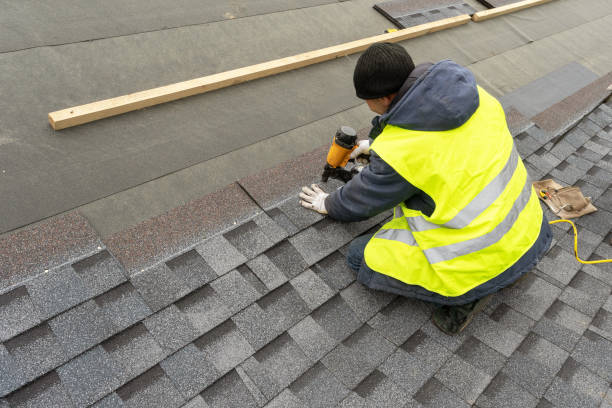 Best Roof Gutter Cleaning  in Llington, MI
