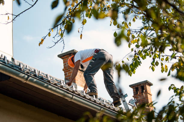 Best New Roof Installation  in Llington, MI