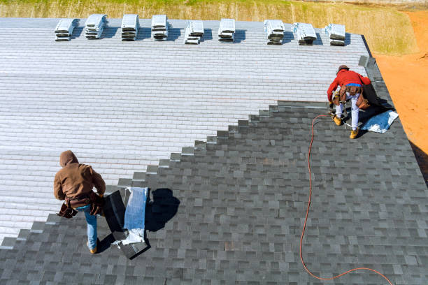 Best Roof Gutter Cleaning  in Llington, MI