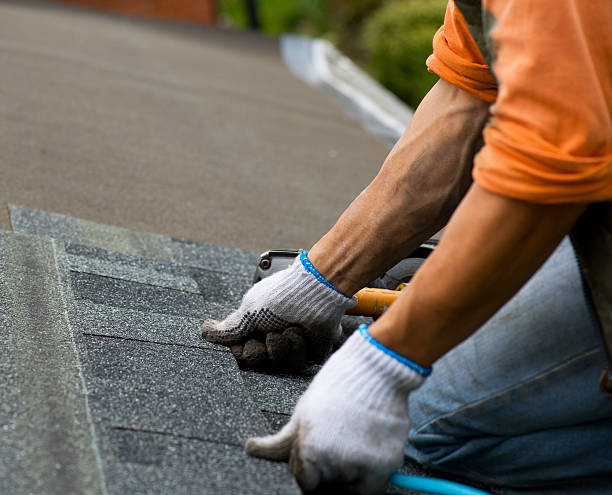 Best Roof Waterproofing Services  in Llington, MI